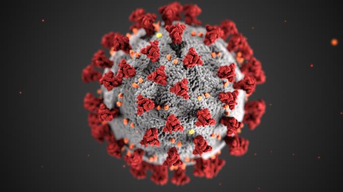 image of a novel coronavirus SARS-CoV-2
